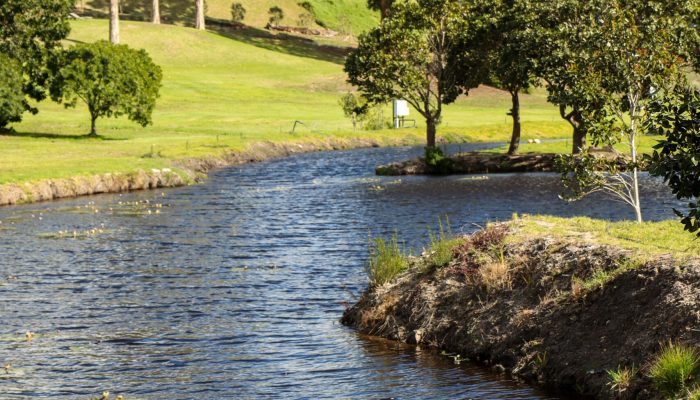 Hemel en Aarde cottages bottom dam