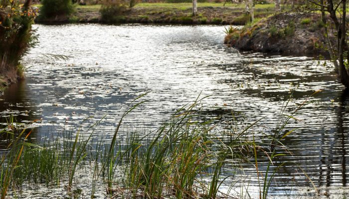Hemel en Aarde cottages dam